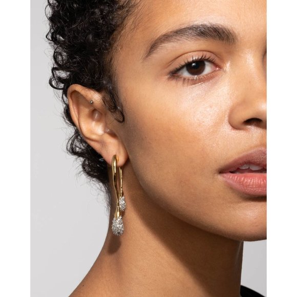 Alexis Bittar Solanales Crystal Front Back Double Drop Earring- Gold-40600 - Picture 9 of 13